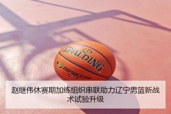 赵继伟休赛期加练组织串联助力辽宁男篮新战术试验升级